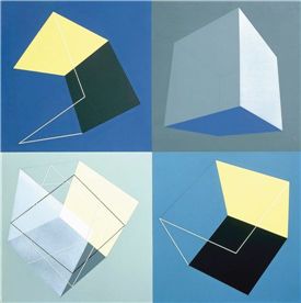 Cube-Secretness, 06-601,117.0x117cm Acrylic on canvas, 2006