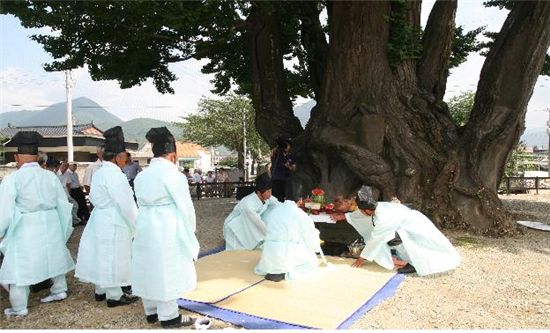 강원도 영월에서 열리는 '하송1리 은행나무 동제'의 모습. 사진=문화재청 제공. 