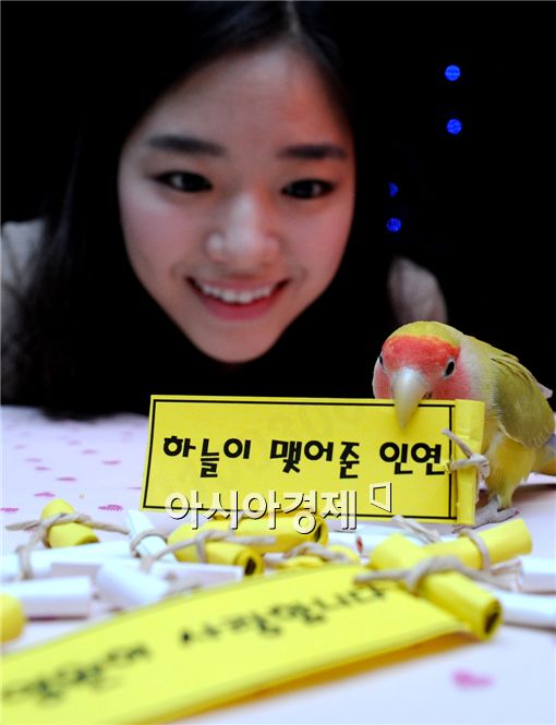 [포토] '사랑 이어주는 앵무새'
