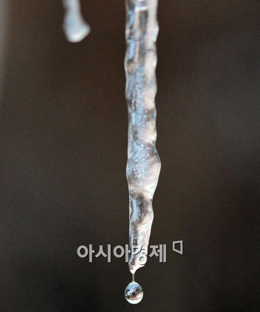 [포토] 매서운 추위도 '이젠 안녕'