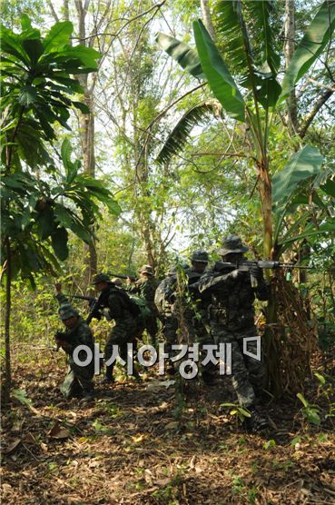 해병대의 밀림생존법