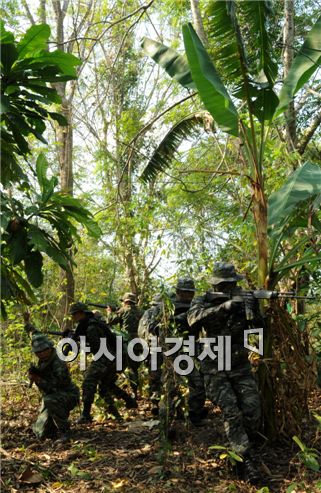 해병대의 밀림생존법