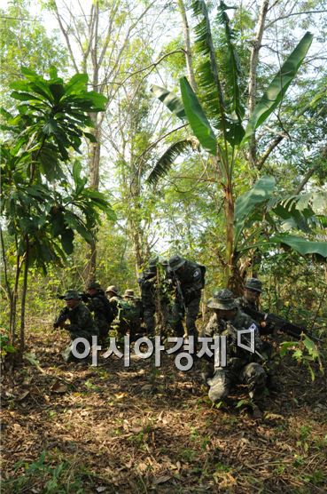 해병대의 밀림생존법