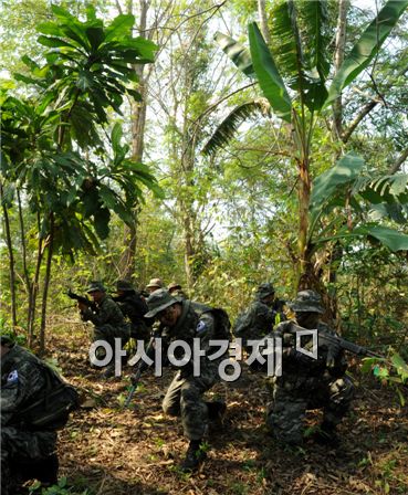 해병대의 밀림생존법