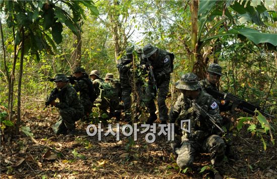 해병대의 밀림생존법