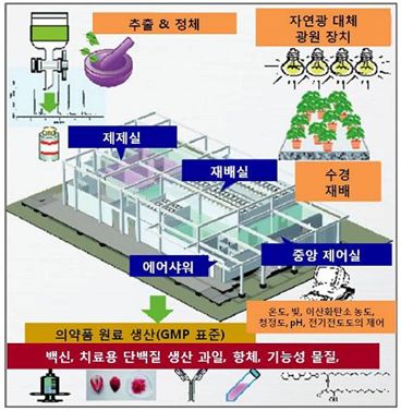 식물공장 관련특허출원 ‘쑥’
