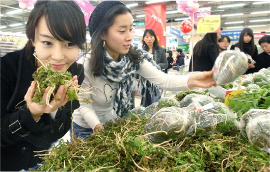 홈플러스 "춘곤증 달랠 나물사세요"