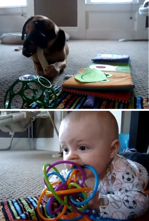 "아가야 내가 왕년에 껌 좀 씹어봤는데"