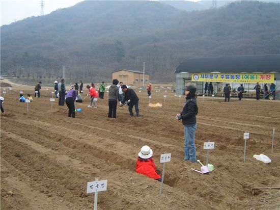 서울 도심 인근에서 주말농장 가꿔요