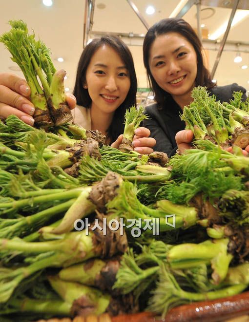 [포토] 봄 향기 담은 햇두릅