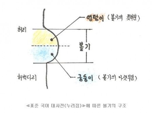 엉덩이의 진실…"엉덩이는 딱 여기까지?"