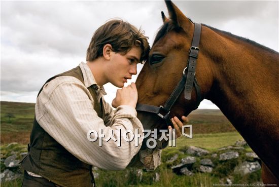 어기, 질풍이, 조이... 3월 충무로는 동물배우 전성시대 