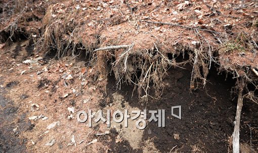 [포토] 우면산 산사태 재현 우려