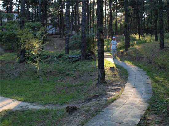 대전 한남대학교에 숲 오솔길을 따라 1.8km의 둘레길이 있다.