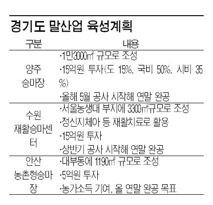 경기도 '말 달리자'..35억의 베팅