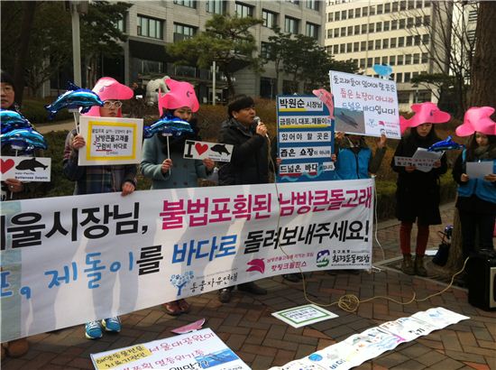 동물보호단체들이 7일 오전 11시 서울시청 앞에서 불법포획된 돌고래를 방사해야 한다며 시위를 벌이고 있다. 
