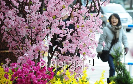 [포토] 롯데백화점, 봄꽃의 유혹