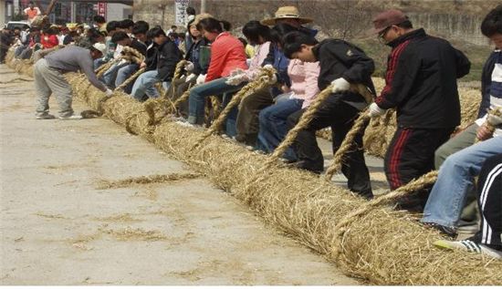 당진 기지시줄다리기 때 쓰일 큰줄을 만들고 있는 마을주민들. 