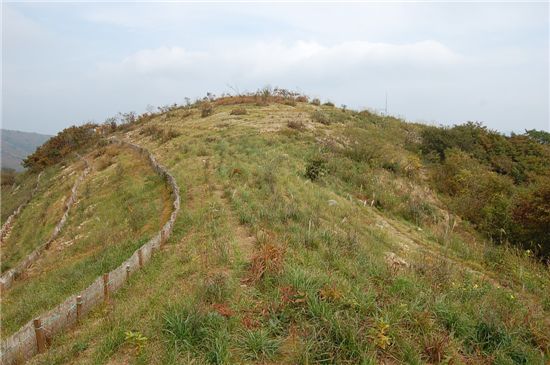 산림복원사업을 벌인 뒤 김천시 바람재 모습.