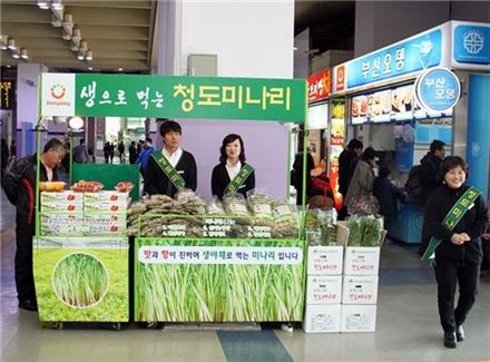 동대구역 안에 있는 '날로 먹는 청도미나리' 판매장 모습