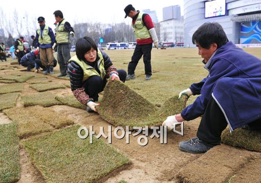 [포토] 서울광장 잔디 이식