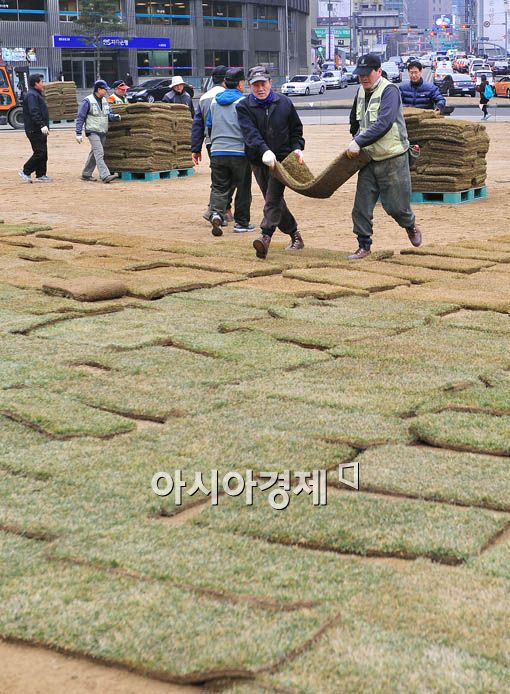 [포토] 잔디 수송 작전 중