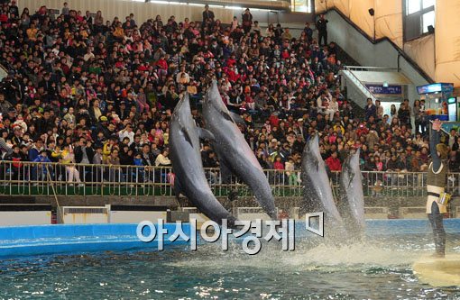 [포토] 서울동물원 돌고래의 마지막 점프