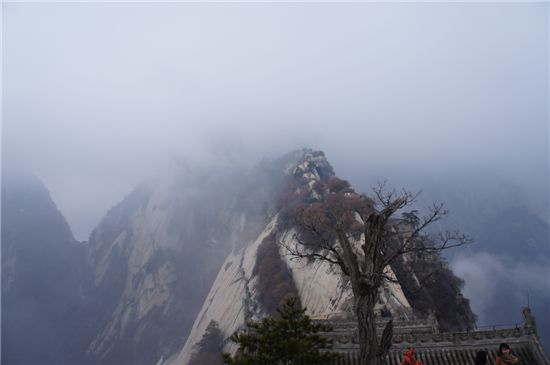 시안(西安), 5000년의 중국을 보다