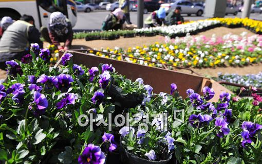 [포토] 꽃단장하는 서울