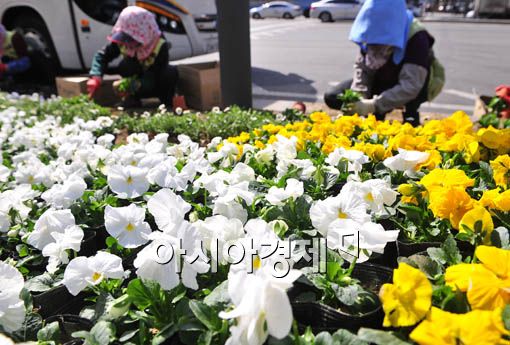 [포토] 봄 옷 입는 청계광장