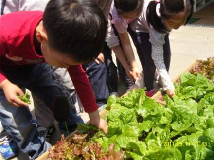 서울시 도시농업 민간단체 선정… 최대 2000만원 지원