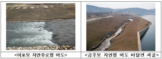 4대강 점검.. "구조 이상없으나 세굴현상·누수 등 보완해야"