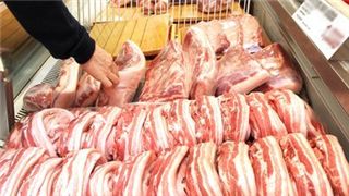 경북 의성 구제역 돼지 600마리 살처분…중장비 농장 진입 확산 차단