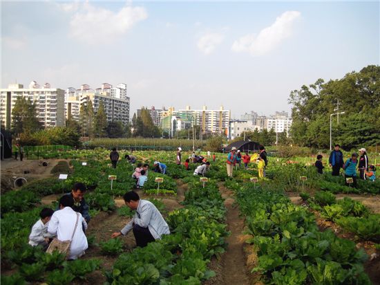 강동구 도시 농부학교 인기 