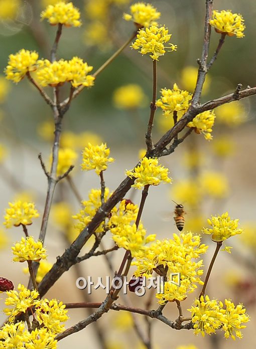 [포토] 꿀 같은 만남