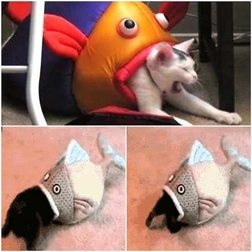 고양이 잡아먹는 물고기…"진짠 줄 알고 깜짝"