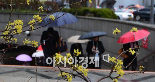 [포토] 봄비 속의 출근