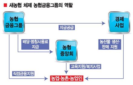 [50+농협 新로드맵]순수 국내자본 걸맞은 국민경제 동반자로 자리매김