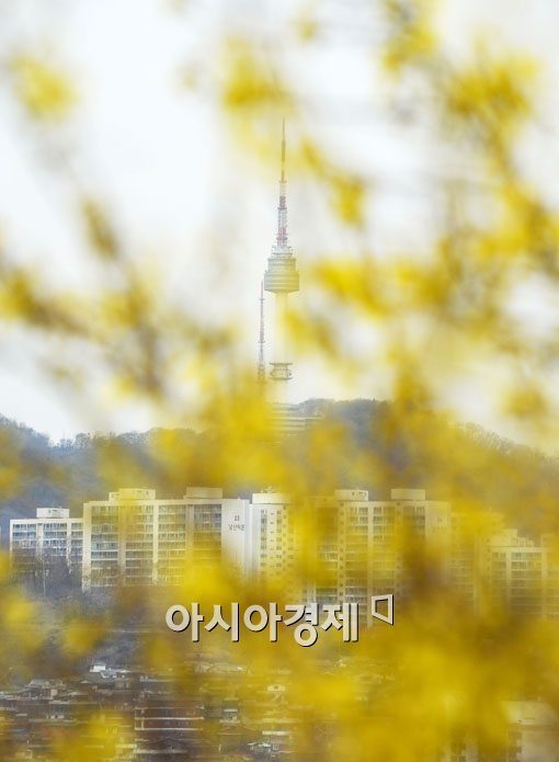 [포토] 남산 N타워 감싼 개나리