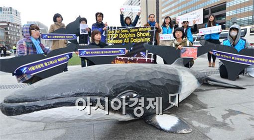 [포토] 돌고래의 눈물