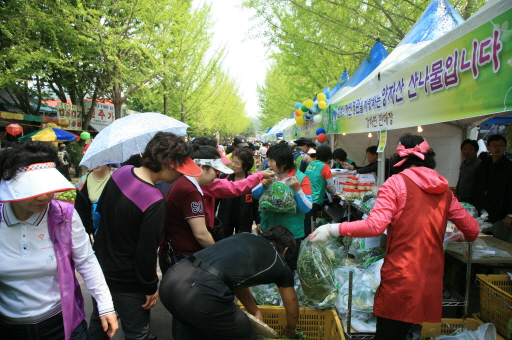 강북구민들 양평 산나물축제 간다 