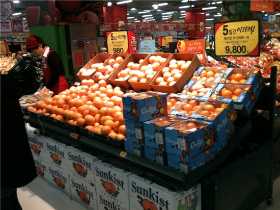 ▲한 대형마트의 과일코너에서 오렌지를 판매하고 있다.