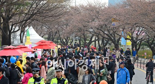 [포토] 벚꽃보다 많은 상춘객