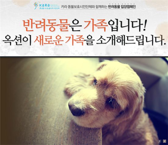 "유기동물, 가족을 찾아요" 옥션, 반려동물 입양 캠페인