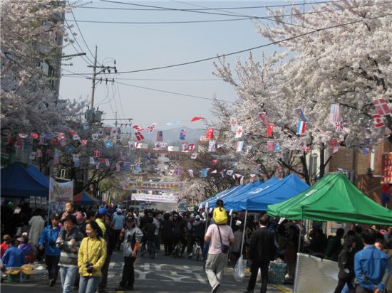 지난해 벚꽃축제 