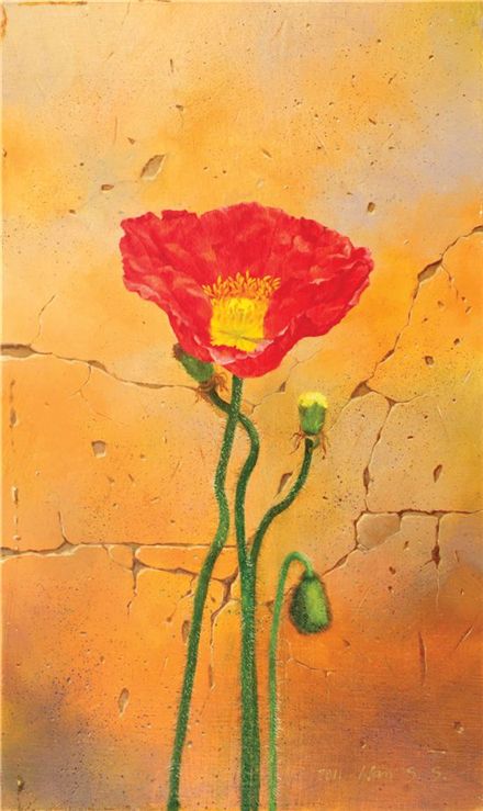양귀비, 45.5x38㎝