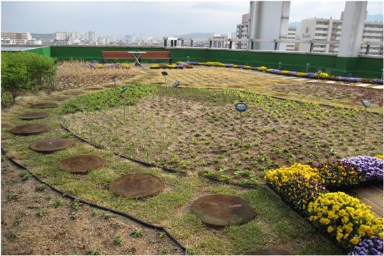 건물 옥상에 나무를 심읍시다....