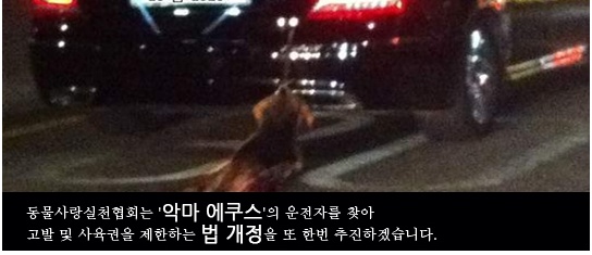 '악마 에쿠스' 네티즌 분노…처벌 청원 잇달아
