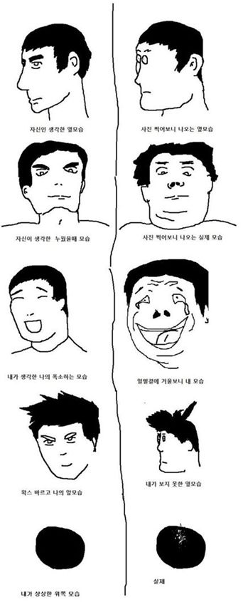 ▲ 상상 속의 모습과 실제 모습의 차이를 그린 '당신이 몰랐던 당신의 모습'(출처: 온라인 커뮤니티) 