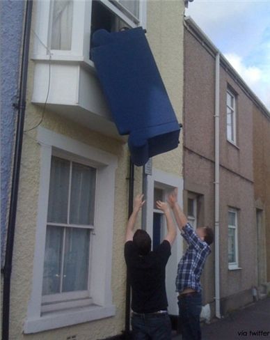 겁없이 이삿짐 나르기…"너무 용감한데?"